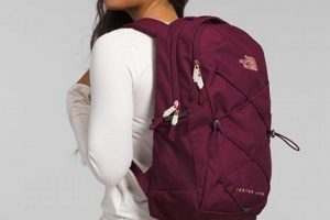 Best Women's North Face Jester Backpack: Review & Guide | Ultimate Backpack Traveler Guide: Tips, Destinations & Budget Hacks
