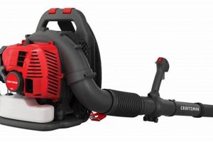 Find Your Perfect Backpack Blower at Lowe's: Deals &amp; Reviews | Ultimate Backpack Traveler Guide: Tips, Destinations & Budget Hacks