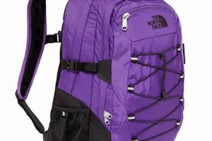 Best Purple North Face Backpack: Style & Durability | Ultimate Backpack Traveler Guide: Tips, Destinations & Budget Hacks