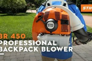 Stihl BR 450 Backpack Blower: Power & Performance! Ultimate Backpack Traveler Guide: Tips, Destinations & Budget Hacks Stihl BR 450 Backpack Blower: Power & Performance! | Ultimate Backpack Traveler Guide: Tips, Destinations & Budget Hacks