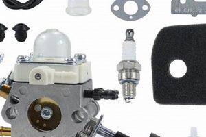 Stihl BR 200 Blower Tune Up: Performance Kit &amp; More! | Ultimate Backpack Traveler Guide: Tips, Destinations & Budget Hacks