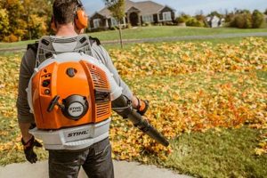 Stihl BR 600: Power Up Your Lawn - Blower Beast! | Ultimate Backpack Traveler Guide: Tips, Destinations & Budget Hacks
