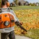 Stihl BR 600: Power Up Your Lawn - Blower Beast! | Ultimate Backpack Traveler Guide: Tips, Destinations & Budget Hacks