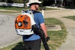 Stihl BR 600 Magnum: The Ultimate Backpack Blower | Ultimate Backpack Traveler Guide: Tips, Destinations & Budget Hacks