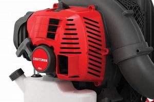 Best Craftsman Backpack Blower: Reviews &amp; Guide 2024 | Ultimate Backpack Traveler Guide: Tips, Destinations & Budget Hacks