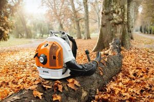 Stihl BR 700 Backpack Blower: Power & Performance Ultimate Backpack Traveler Guide: Tips, Destinations & Budget Hacks Stihl BR 700 Backpack Blower: Power & Performance | Ultimate Backpack Traveler Guide: Tips, Destinations & Budget Hacks