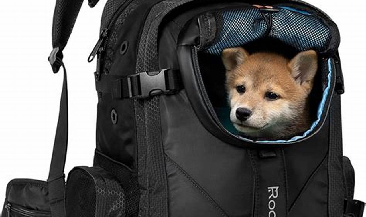 Best Travel Dog Backpack: Safe & Comfy Carrier Guide Ultimate Backpack Traveler Guide: Tips, Destinations & Budget Hacks Best Travel Dog Backpack: Safe & Comfy Carrier Guide | Ultimate Backpack Traveler Guide: Tips, Destinations & Budget Hacks