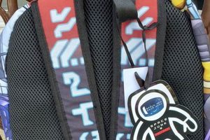 Tackling Space Junk: The Backpack Solution for Orbit | Ultimate Backpack Traveler Guide: Tips, Destinations & Budget Hacks