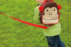 Best Leash Backpacks: Safe &amp; Secure Toddler Carriers | Ultimate Backpack Traveler Guide: Tips, Destinations & Budget Hacks