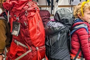 Top-Rated Best Travel Backpack for Kids [2024 Guide] | Ultimate Backpack Traveler Guide: Tips, Destinations & Budget Hacks