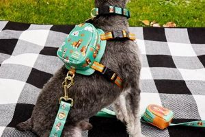 Shop Loungefly Dog Backpacks: Cute & Comfy Carriers! Ultimate Backpack Traveler Guide: Tips, Destinations & Budget Hacks Shop Loungefly Dog Backpacks: Cute & Comfy Carriers! | Ultimate Backpack Traveler Guide: Tips, Destinations & Budget Hacks