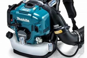 Best 4 Stroke Backpack Blower: Power & Performance! | Ultimate Backpack Traveler Guide: Tips, Destinations & Budget Hacks