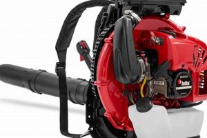 Power Up: RedMax Backpack Blower - Pro Yard Cleanup Ultimate Backpack Traveler Guide: Tips, Destinations & Budget Hacks Power Up: RedMax Backpack Blower - Pro Yard Cleanup | Ultimate Backpack Traveler Guide: Tips, Destinations & Budget Hacks