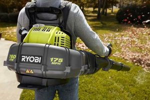 Ryobi Backpack Leaf Blower: Best Models &amp; Expert Tips | Ultimate Backpack Traveler Guide: Tips, Destinations & Budget Hacks