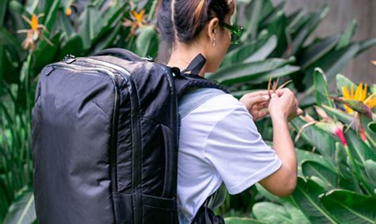 Best Travel: Tortuga Travel Backpack 30L Review + Tips Ultimate Backpack Traveler Guide: Tips, Destinations & Budget Hacks Best Travel: Tortuga Travel Backpack 30L Review + Tips | Ultimate Backpack Traveler Guide: Tips, Destinations & Budget Hacks