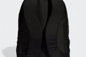 Best Padded Backpack for Travel: Comfort &amp; Protection | Ultimate Backpack Traveler Guide: Tips, Destinations & Budget Hacks