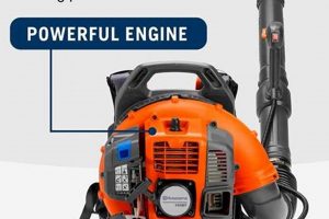 Husqvarna 150BT Backpack Blower Reviews: Is It Worth It? Ultimate Backpack Traveler Guide: Tips, Destinations & Budget Hacks Husqvarna 150BT Backpack Blower Reviews: Is It Worth It? | Ultimate Backpack Traveler Guide: Tips, Destinations & Budget Hacks