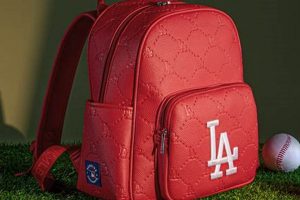 Best MLB Backpack [Gear Guide] For Backpackers! | Ultimate Backpack Traveler Guide: Tips, Destinations & Budget Hacks