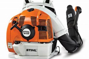 Stihl BR 430: The Pro's Choice Backpack Blower | Ultimate Backpack Traveler Guide: Tips, Destinations & Budget Hacks