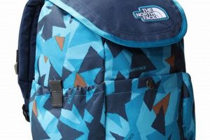 The North Face Youth Backpack: Durable, Ergonomic School Bag | Ultimate Backpack Traveler Guide: Tips, Destinations & Budget Hacks