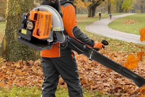 Find Your Best Backpack Gas Leaf Blower: Top Models & Deals Ultimate Backpack Traveler Guide: Tips, Destinations & Budget Hacks Find Your Best Backpack Gas Leaf Blower: Top Models & Deals | Ultimate Backpack Traveler Guide: Tips, Destinations & Budget Hacks