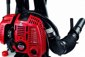 Shindaiwa Backpack Blower: Power & Performance | Expert Tips | Ultimate Backpack Traveler Guide: Tips, Destinations & Budget Hacks