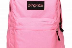 Best Pink JanSport Backpacks: Style & Durability | Ultimate Backpack Traveler Guide: Tips, Destinations & Budget Hacks