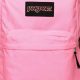 Best Pink JanSport Backpacks: Style & Durability | Ultimate Backpack Traveler Guide: Tips, Destinations & Budget Hacks