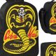 Best Cobra Kai Backpacks for True Fans! Gear Up | Ultimate Backpack Traveler Guide: Tips, Destinations & Budget Hacks