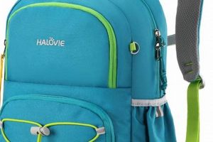 Best Kids Travel Backpack Guide: Adventure Ready! | Ultimate Backpack Traveler Guide: Tips, Destinations & Budget Hacks