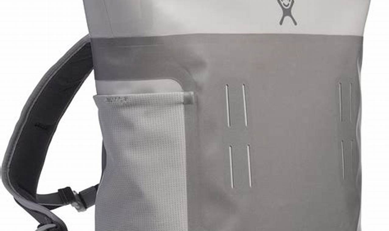 Best Hydro Flask Backpack: Packs for Active Backpackers | Ultimate Backpack Traveler Guide: Tips, Destinations & Budget Hacks