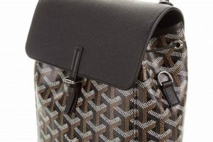 Mini Goyard Backpack: Chic Style & Beyond | Ultimate Backpack Traveler Guide: Tips, Destinations & Budget Hacks