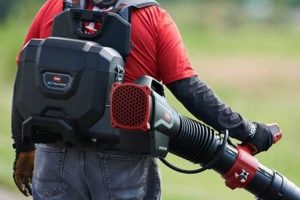 Toro Backpack Blower: Power &amp; Performance Guide | Ultimate Backpack Traveler Guide: Tips, Destinations & Budget Hacks