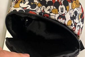 Best Mickey Mouse Small Backpack: Cute & Compact! | Ultimate Backpack Traveler Guide: Tips, Destinations & Budget Hacks