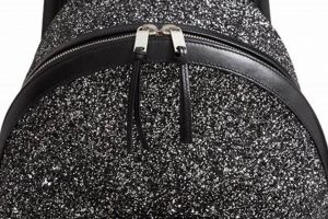Shine On! Black Glitter Backpack: Style & Sparkle | Ultimate Backpack Traveler Guide: Tips, Destinations & Budget Hacks
