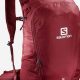 Salomon Backpack: The Backpacker's Durable & Light Choice | Ultimate Backpack Traveler Guide: Tips, Destinations & Budget Hacks