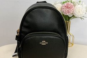Best Black Coach Mini Backpack [Style & Value] | Ultimate Backpack Traveler Guide: Tips, Destinations & Budget Hacks