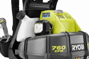 Ryobi 760 CFM: The Ultimate Backpack Blower for Leaves | Ultimate Backpack Traveler Guide: Tips, Destinations & Budget Hacks