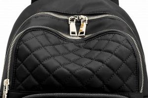 Chic & Secure: Best Black Backpacks for Women Today! | Ultimate Backpack Traveler Guide: Tips, Destinations & Budget Hacks