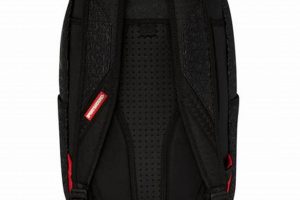 Cool Sprayground Backpack: Unique Styles for Backpackers | Ultimate Backpack Traveler Guide: Tips, Destinations & Budget Hacks