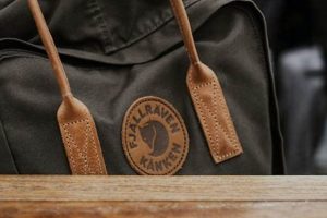 Top Swedish Backpacks: Your Go-To Travel Pack | Ultimate Backpack Traveler Guide: Tips, Destinations & Budget Hacks