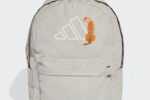Stylish Graphic Backpacks: Designs for Backpackers | Ultimate Backpack Traveler Guide: Tips, Destinations & Budget Hacks