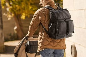 Carry &amp; Go: The Ultimate Backpack Pram Solution | Ultimate Backpack Traveler Guide: Tips, Destinations & Budget Hacks