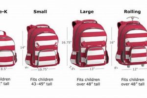 Best What Size Backpack for Kindergarten? A Parent's Guide | Ultimate Backpack Traveler Guide: Tips, Destinations & Budget Hacks