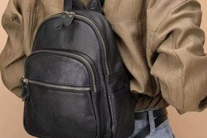 Chic Black Leather Mini Backpack: Style & Function | Ultimate Backpack Traveler Guide: Tips, Destinations & Budget Hacks