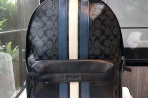 Best Coach Backpacks for Men: Style &amp; Function | Ultimate Backpack Traveler Guide: Tips, Destinations & Budget Hacks