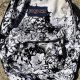 Vintage Y2K JanSport Backpacks: Style & Durability | Ultimate Backpack Traveler Guide: Tips, Destinations & Budget Hacks
