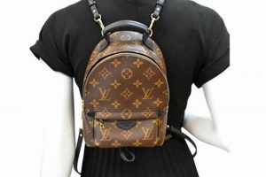 Shop the Mini Palm Springs Backpack: Style On-The-Go! | Ultimate Backpack Traveler Guide: Tips, Destinations & Budget Hacks