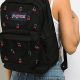 Shop: JanSport Cherry Backpack - Style & Durability! | Ultimate Backpack Traveler Guide: Tips, Destinations & Budget Hacks