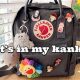 Packing List: What's in My Kanken Mini Backpack (Essentials!) | Ultimate Backpack Traveler Guide: Tips, Destinations & Budget Hacks